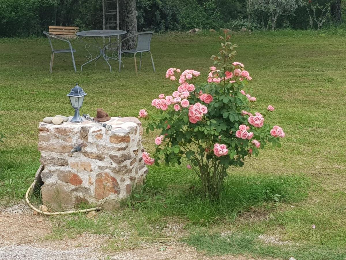 Bed and Breakfast Le Jardin Des Selves Draguignan Exteriér fotografie